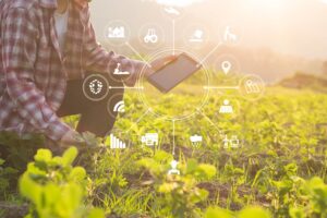 Images are used for visual representation purposes only. These images may not be downloaded, copied, or used in any form without prior permission.