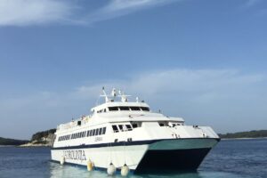 POYNTING antennas provide reliable connectivity for large ferries transporting passengers and vehicles, ensuring seamless communication and internet access for marine and coastal operations. Images are used for visual representation purposes only. These images may not be downloaded, copied, or used in any form without prior permission.